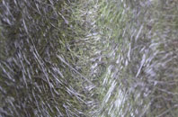 Upper Ellastone fibreglass roof work